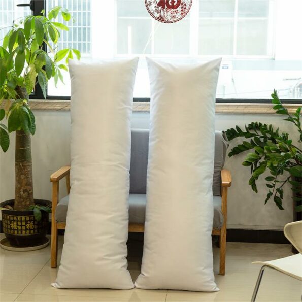 Pillow Insert