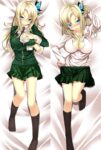 Kashiwazaki Sena Haganai 18+ life size hug pillow dakimakura