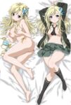 Kashiwazaki Sena Haganai 18+ life size hug pillow dakimakura